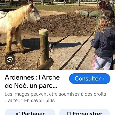 La Rose Du Bel Homme Rocroi