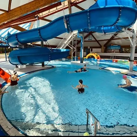 La Rose Du Bel Homme