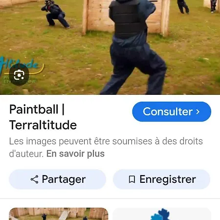 La Rose Du Bel Homme Rocroi