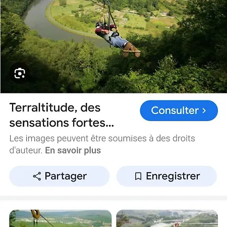 La Rose Du Bel Homme *