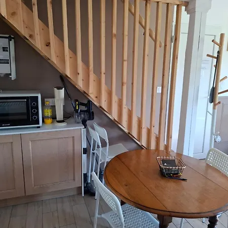 La Rose Du Bel Homme Rocroi